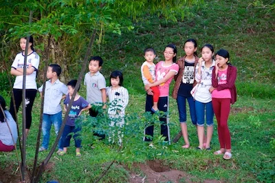 Picture